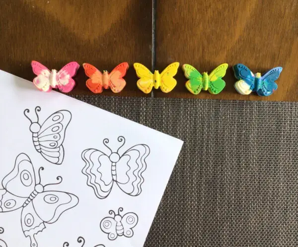 Butterfly Crayon Gift Box