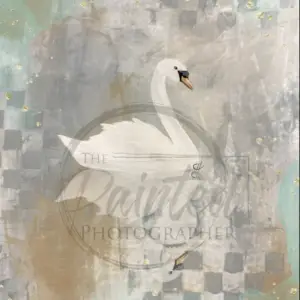 Reflections of Grace - Rice Paper - Connie's Lines and Designs