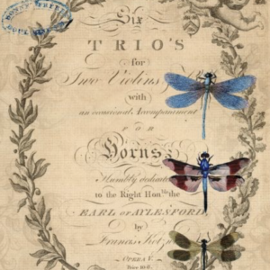 Dragonflies - Roycyled Decoupage Paper