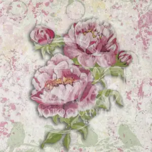 Peony With Pink Background Rice Paper- Connie's Lines and Designs
